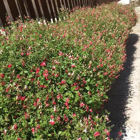 De Piedra Con Encanto * Burgo