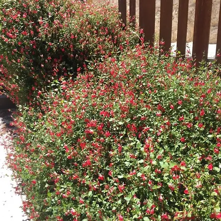 De Piedra Con Encanto * Burgo