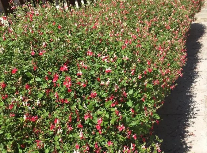 De Piedra Con Encanto * Burgo