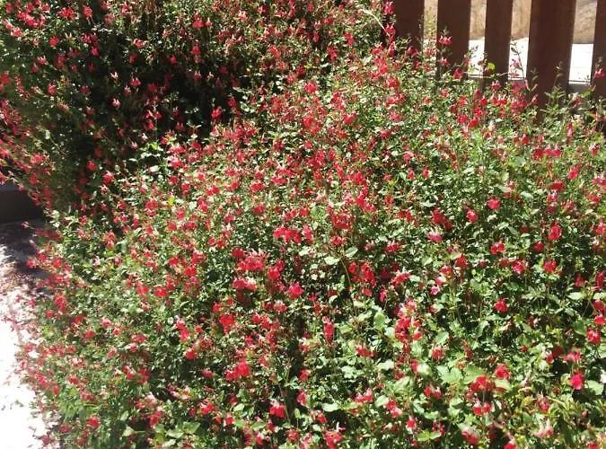 De Piedra Con Encanto * Burgo